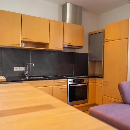 Garconniere In Apartment Niedernsill